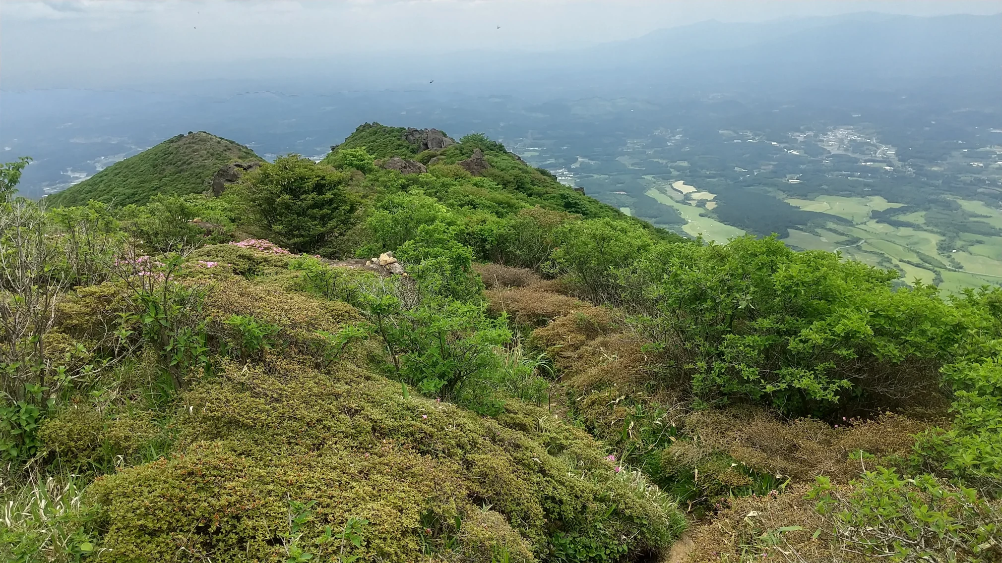 山頂 無耳茶壺山】台湾でプチ登山体験！陰陽海を望む絶景ハイキング｜台北の