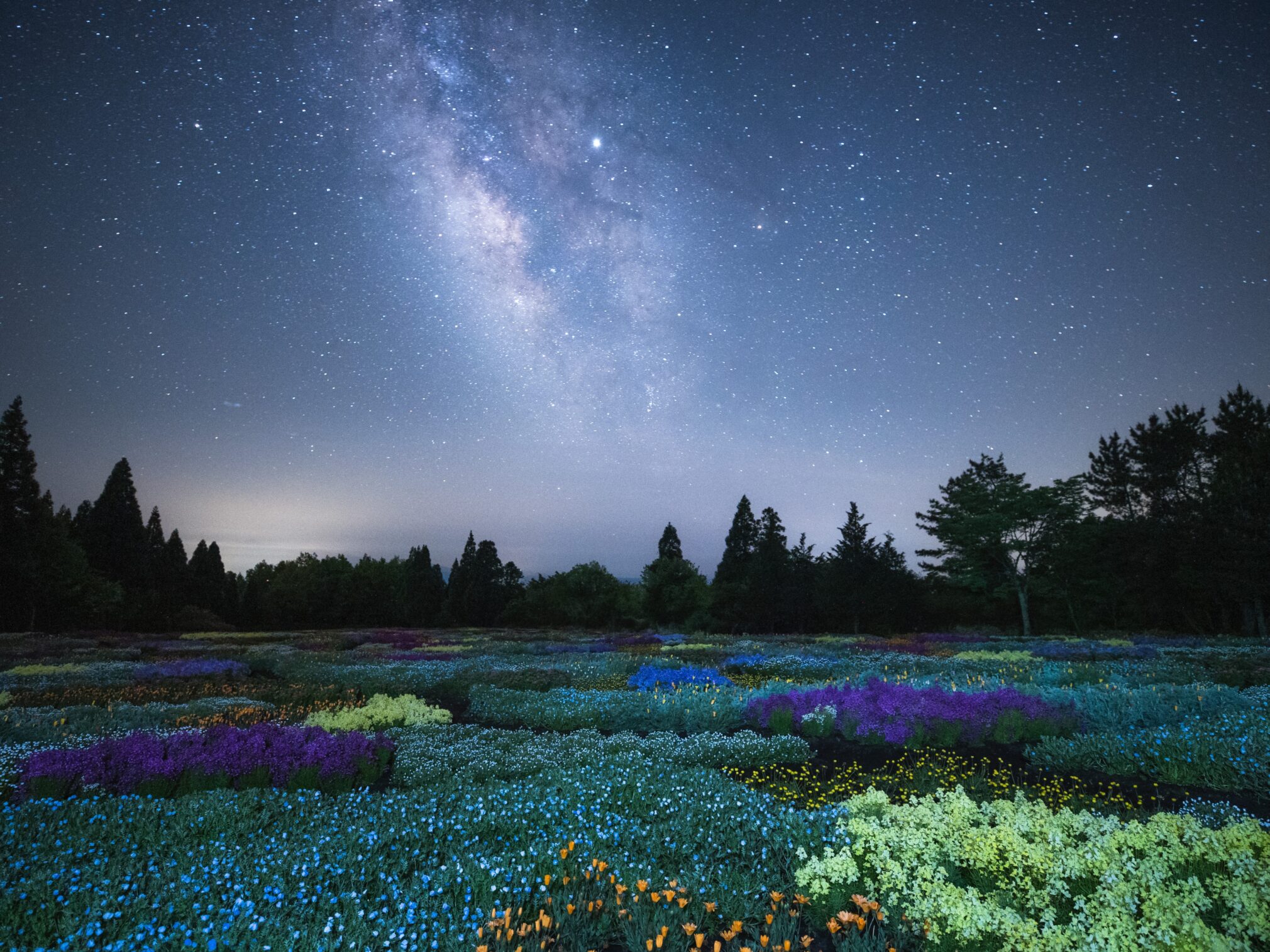 久住高原 星空の巡り - 大分アクティビティ- オオイタおそと時間