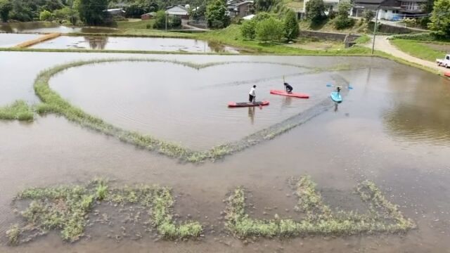 .
\ 田んぼでSUP🏄‍♂️ /
.
.
地域一体となった活動を行っている丸山自治会では、
今年もＧＷ特別企画「田んぼでSUP」を実施します🌾
.
寝っ転がってみたり立ち漕ぎにチャレンジしてみたり
田んぼならではの泥んこや虫たちなど
自然を全身で感じながら
子どもから大人までみーんなで楽しんでください♪
.
この動画は昨年のGWの様子。
1歳さんも楽しんでいました👶
この後近くの温泉に入って、
竹田の美味しいものを食べて、
子どもたちは大満足の1日でした♡
.
詳細は近日中にオオイタおそと時間ホームページにも
公開しますので要チェックです✔︎
.
丸山自治会　@maruyama.paddyfield.sup 
アカウントからもご確認いただけます🔖
.
.
#大分おでかけスポット #大分県竹田市
#大分アウトドア  #自然保護 #大分自然 
#大分ファミリー #環境保全 #大分あそび場 
.
.
.