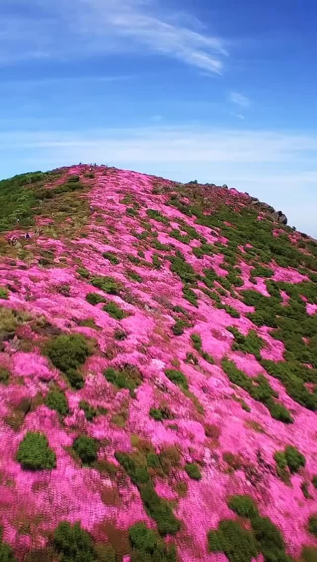 .
.
.
\ くじゅうを満喫🌿 /
.
.
くじゅうの魅力がギュッと詰まった動画をご紹介！
.
.
オオイタおそと時間ホームページでも
県内の様々なスポットを紹介しているので
要チェックです✔️
.
△▲△＊▲△▲＊△▲△＊▲△▲＊△▲△＊▲△▲＊
.
オオイタおそと時間では
大分県内のアウトドア情報を発信中⚡️
.
皆さんへ大分の自然とおそと時間の楽しさを
お届けしていきます🍃
.
△▲△＊▲△▲＊△▲△＊▲△▲＊△▲△＊▲△▲＊
.
#japantrip #kyusyutrip #japan #oita #traveljapan
#visitjapan #cooljapan #amazingview
#일본여행 #日本旅行 #日本旅遊