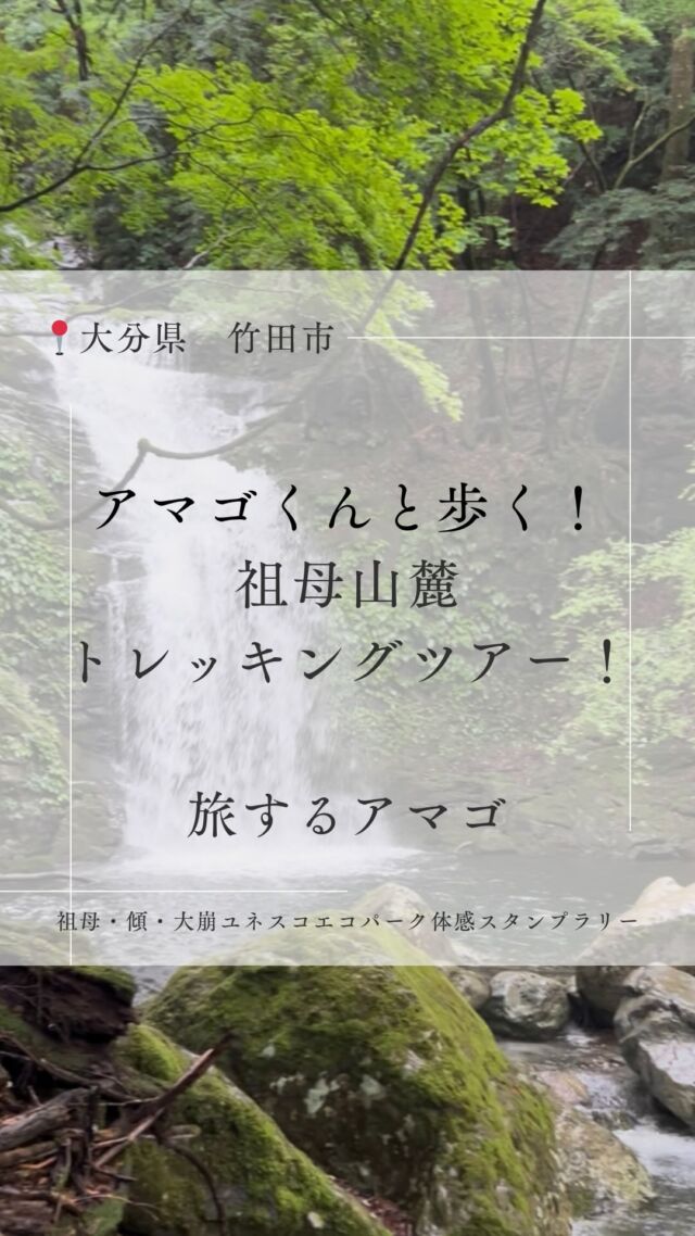 .
.
.
\ 祖母山トレッキングツアー🐟 /
.
祖母・傾・大崩ユネスコエコパーク体感スタンプラリーの
体験プログラムの一つである「祖母山麓トレッキングツアー」
.

大分県広報番組「O！TAめじろオシ」7/19の放送にて
この体験プログラムの様子が放送されました✨
リールで取材の様子をお届けします📷
.
トレッキングツアーは祖母山麓コースを
「アマゴ」をテーマにトレッキング🥾
クイズに答えながら天然のアマゴが生息する滝へ
ガイドのアマゴ君と一緒に歩きます。
大自然の中で楽しく山について学べるツアー、
ぜひご参加ください！
.
.
.
詳細はスタンプラリー特設サイトをご確認ください✔️
.
.
#大分県　#竹田市 #祖母山　#祖母山登山
#祖母山トレッキング　#エコパーク
#アマゴ #旅するアマゴくん
#大分おでかけ情報
#大分アウトドア  #大分観光 #自然#九州の山
.
