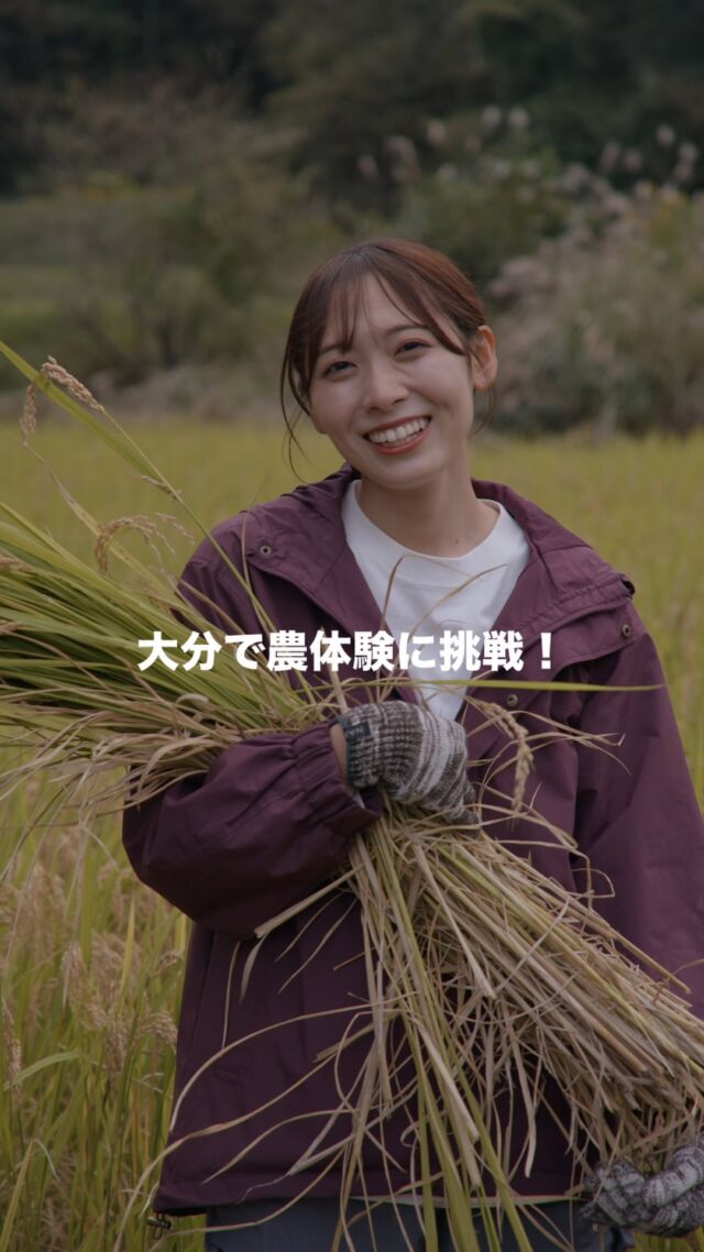 九重町野矢地区―古民家で味わう里山時間🌾
.
九重町野矢地区の里山で、かまどご飯に稲刈り体験、土に触れる一日。季節とともに暮らす知恵とぬくもりが、心と体にしみわたる。
.
のや里山舎で出会った、懐かしく新しい里山の暮らし。
.
.
オオイタおそと時間webサイトでは
「九重町野矢地区―古民家で味わう里山時間」の記事を公開しています📚
本アカウントトップのURLよりご覧ください🔗
.
.
#おおいたアドベンチャーツーリズム
#里山暮らし　#古民家
#かまどご飯　#稲狩り体験
#大分県　#九重町 #大分おでかけ #大分アウトドア