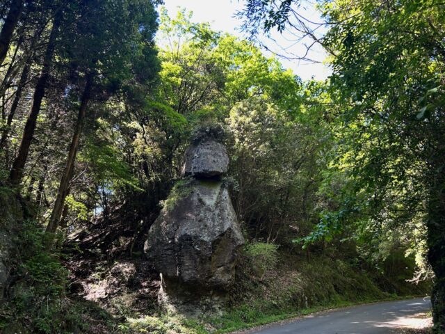 .
.
.
✨🗿竹田市に野生のモアイが出現！？🗿✨
.
先日、竹田市の自然豊かな場所でなんと、【野生のモアイ】に遭遇しました・・・！😳⛰️
.
モアイ像といえば、イースター島にある人面を模したとされる石像ですが、竹田市にあった野生のモアイは自然に削られた形が隅然モアイ像にそっくりになった天然物！
高さは10mほどあるそうです。
.
祖母・傾・大前ユネスコエコパークの登録エリアでもある竹田市には、この野生のモアイ以外にも、美しい自然や歴史的な建造物がたくさんあります。ぜひ竹田市を訪れて、「おそ
と時間」を楽しんでください🌳
.
#オオイタおそと時間　#大分県 #竹田市 #モアイ #野生のモアイ